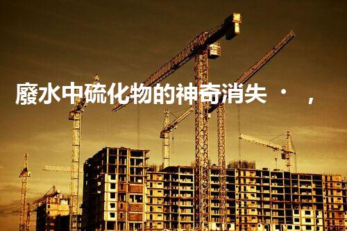 廢水中硫化物的神奇消失，是如何實(shí)現(xiàn)的？